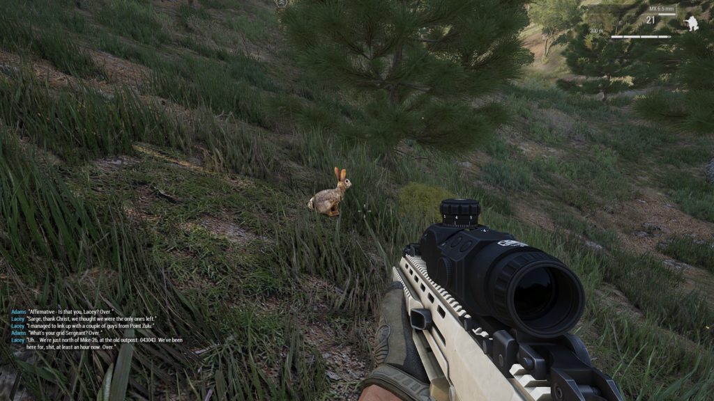 Arma 3: Aiming at a bunny